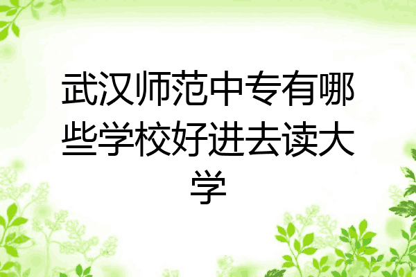 武汉师范中专有哪些学校好进去读大学