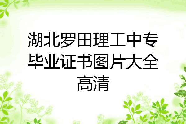 湖北罗田理工中专毕业证书图片大全高清