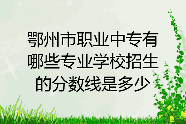 鄂州市职业中专有哪些专业学校招生的分数线是多少