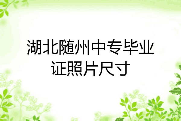 湖北随州中专毕业证照片尺寸