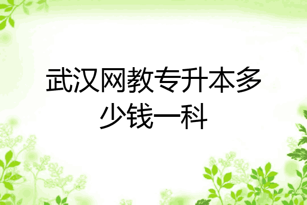 武汉网教专升本多少钱一科