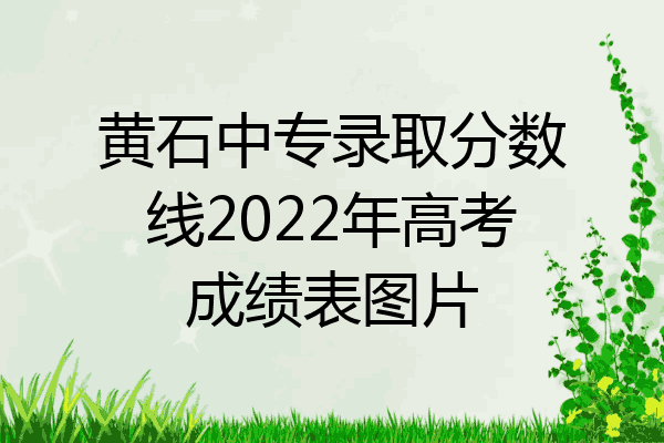 黄石中专录取分数线2022年高考成绩表图片