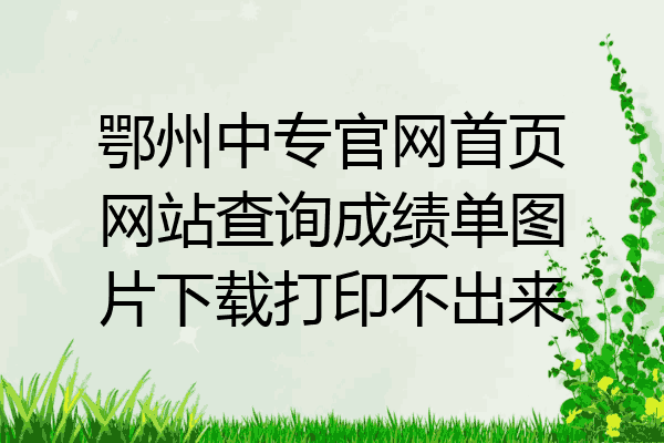 鄂州中专官网首页网站查询成绩单图片下载打印不出来