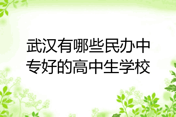 武汉有哪些民办中专好的高中生学校