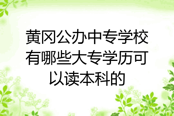 黄冈公办中专学校有哪些大专学历可以读本科的