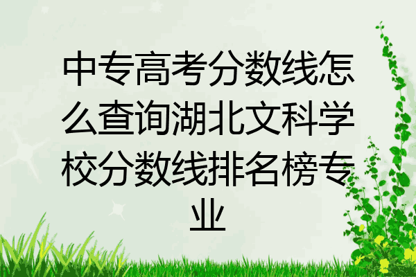 中专高考分数线怎么查询湖北文科学校分数线排名榜专业