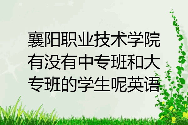 襄阳职业技术学院有没有中专班和大专班的学生呢英语