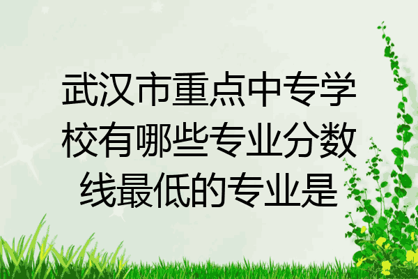 武汉市重点中专学校有哪些专业分数线最低的专业是