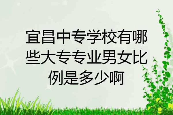 宜昌中专学校有哪些大专专业男女比例是多少啊