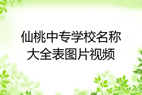 仙桃中专学校名称大全表图片视频