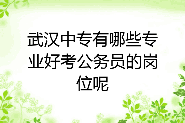 武汉中专有哪些专业好考公务员的岗位呢