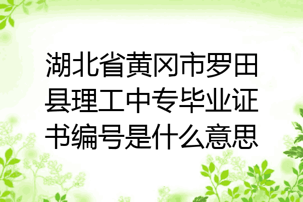 湖北省黄冈市罗田县理工中专毕业证书编号是什么意思