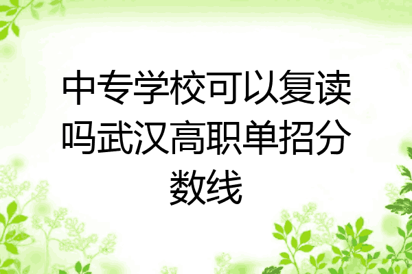 中专学校可以复读吗武汉高职单招分数线