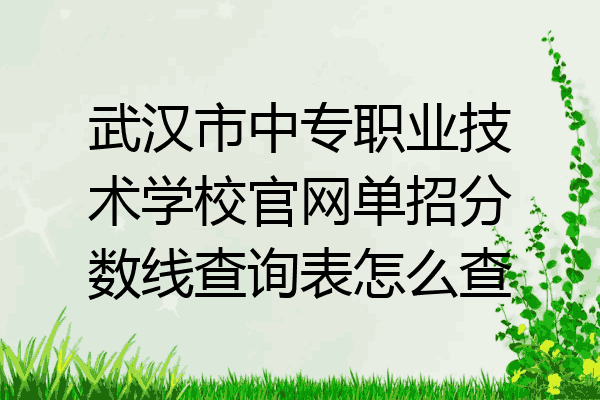 武汉市中专职业技术学校官网单招分数线查询表怎么查
