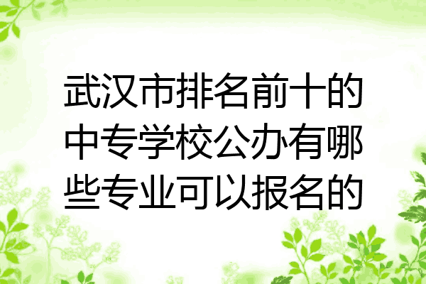 武汉市排名前十的中专学校公办有哪些专业可以报名的