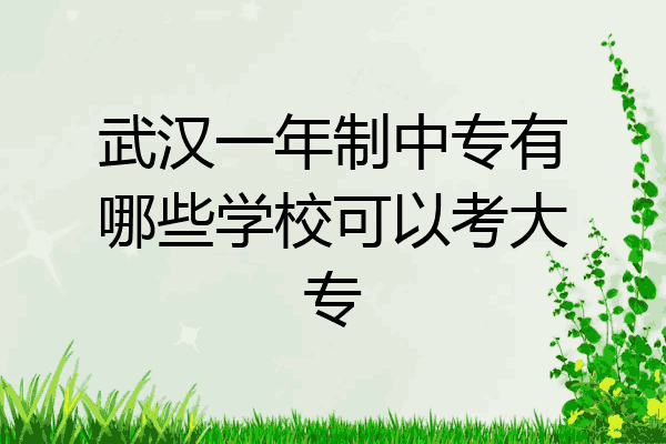 武汉一年制中专有哪些学校可以考大专