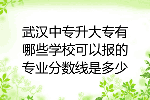 武汉中专升大专有哪些学校可以报的专业分数线是多少