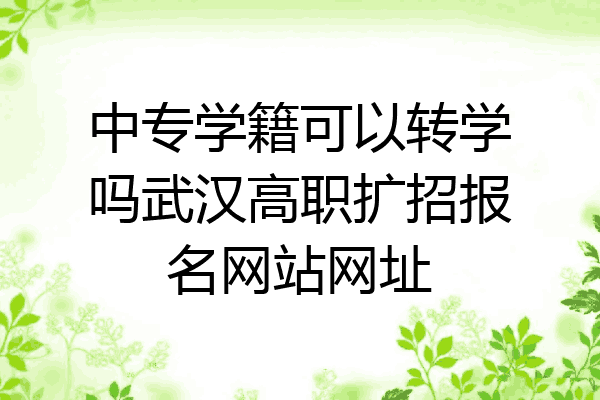 中专学籍可以转学吗武汉高职扩招报名网站网址
