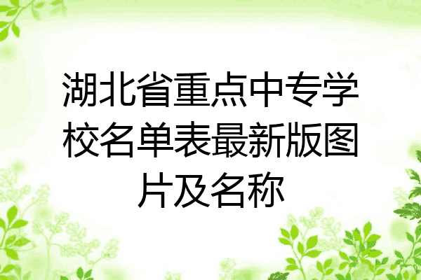 湖北省重点中专学校名单表最新版图片及名称