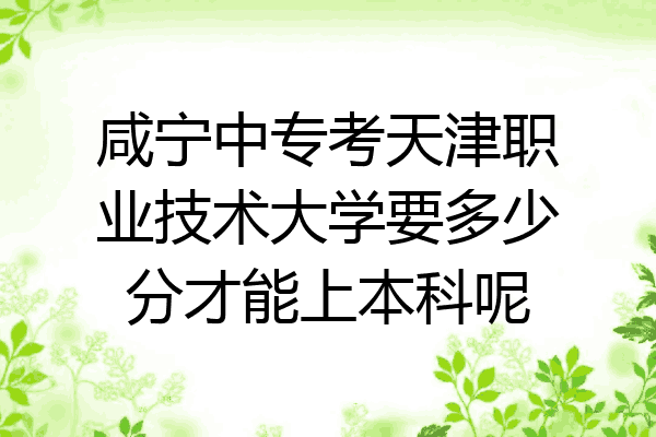 咸宁中专考天津职业技术大学要多少分才能上本科呢