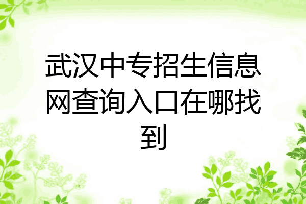 武汉中专招生信息网查询入口在哪找到