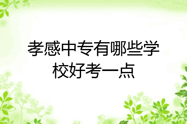 孝感中专有哪些学校好考一点