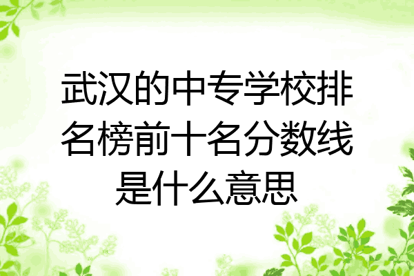 武汉的中专学校排名榜前十名分数线是什么意思