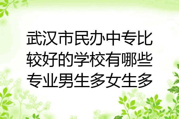 武汉市民办中专比较好的学校有哪些专业男生多女生多