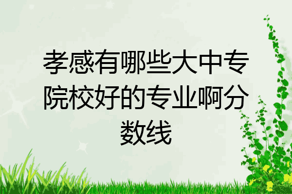 孝感有哪些大中专院校好的专业啊分数线