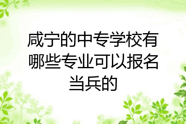 咸宁的中专学校有哪些专业可以报名当兵的