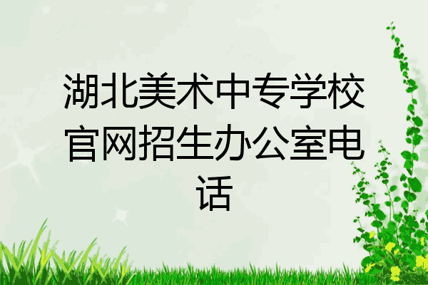 湖北美术中专学校官网招生办公室电话