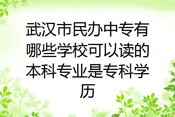 武汉市民办中专有哪些学校可以读的本科专业是专科学历