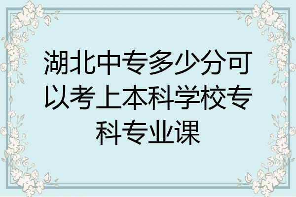 湖北中专多少分可以考上本科学校专科专业课