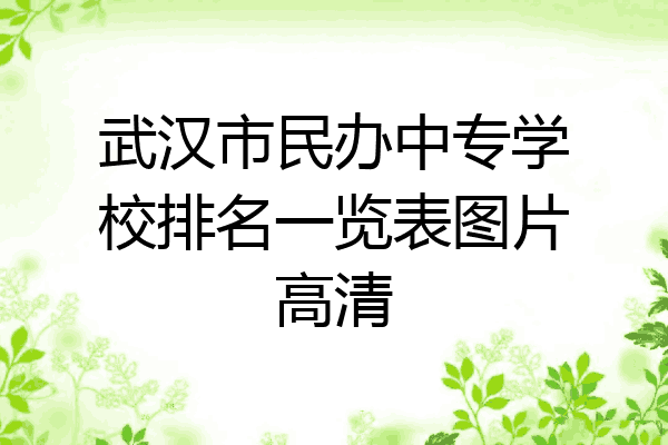 武汉市民办中专学校排名一览表图片高清