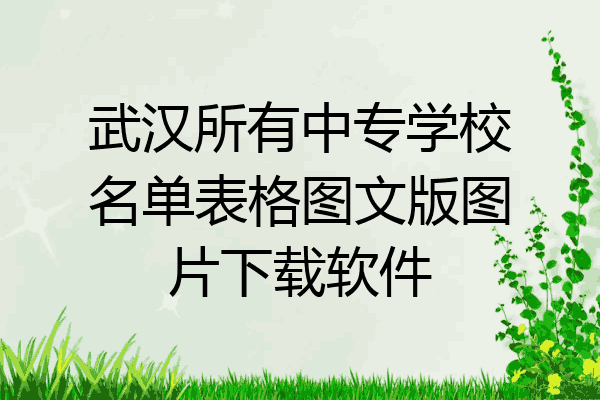 武汉所有中专学校名单表格图文版图片下载软件