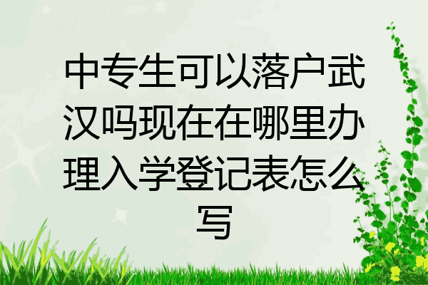 中专生可以落户武汉吗现在在哪里办理入学登记表怎么写