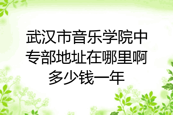 武汉市音乐学院中专部地址在哪里啊多少钱一年