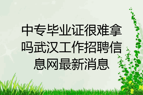 中专毕业证很难拿吗武汉工作招聘信息网最新消息