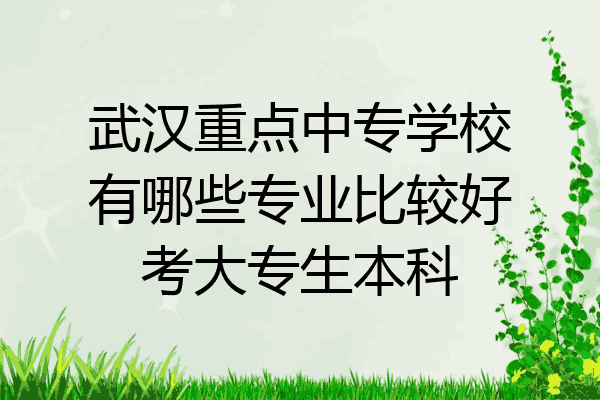 武汉重点中专学校有哪些专业比较好考大专生本科