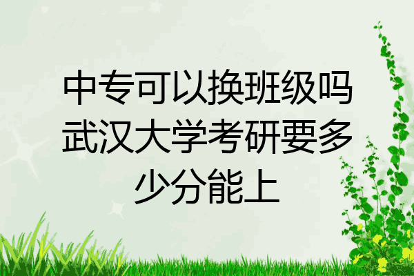 中专可以换班级吗武汉大学考研要多少分能上