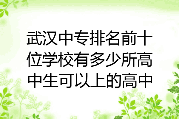 武汉中专排名前十位学校有多少所高中生可以上的高中