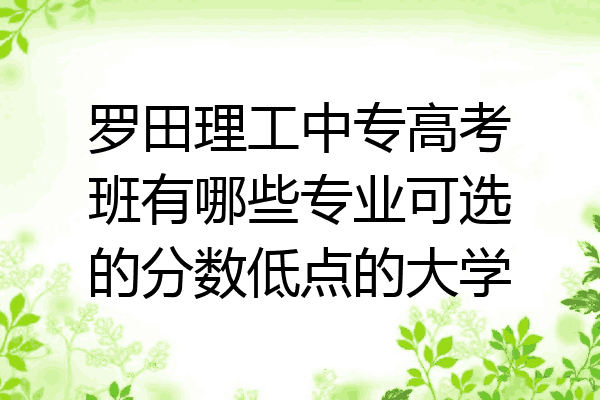 罗田理工中专高考班有哪些专业可选的分数低点的大学