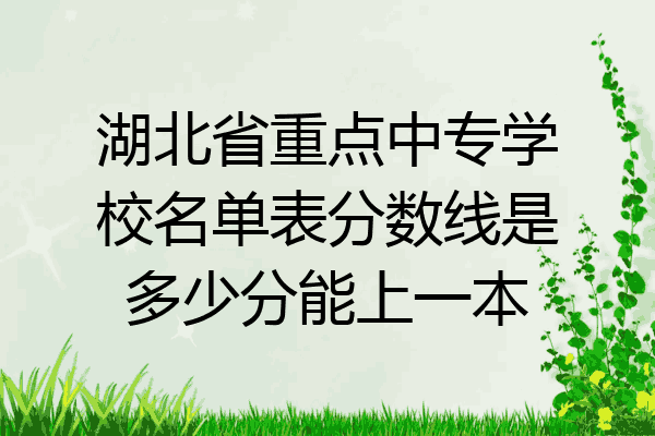 湖北省重点中专学校名单表分数线是多少分能上一本