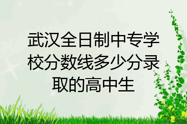 武汉全日制中专学校分数线多少分录取的高中生