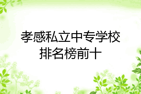 孝感私立中专学校排名榜前十