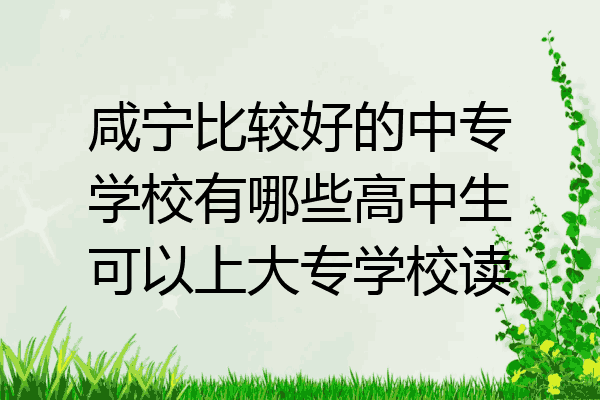 咸宁比较好的中专学校有哪些高中生可以上大专学校读