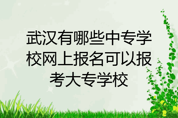 武汉有哪些中专学校网上报名可以报考大专学校