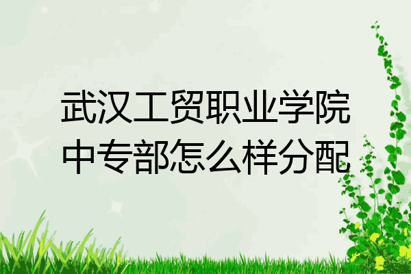 武汉工贸职业学院中专部怎么样分配