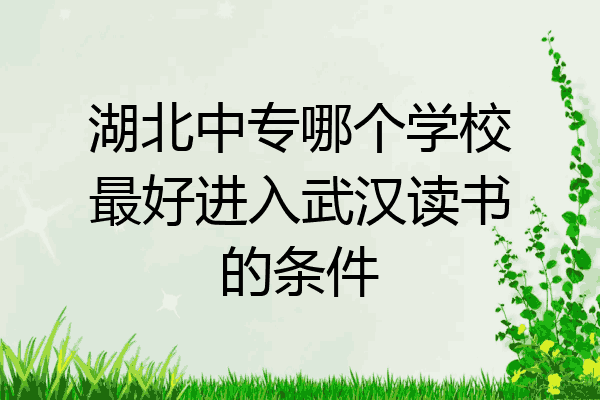 湖北中专哪个学校最好进入武汉读书的条件