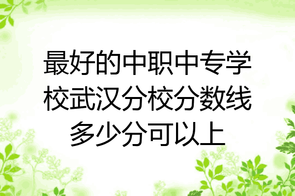 最好的中职中专学校武汉分校分数线多少分可以上